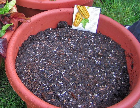 Close-up of potting soil mix for indoor plants